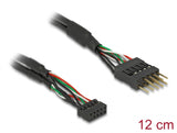 Delock Kabel USB 2.0 Pfostenbuchse 2,00 mm 10 Pin > USB 2.0 Pfostenstecker 2,54 mm 10 Pin 12 cm