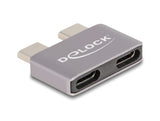 Delock Adapter USB 40 Gbps USB Type-C™ 2 x Stecker zu 2 x Buchse Portschoner Metall