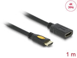 Delock Verlängerungskabel High Speed HDMI mit Ethernet HDMI A Stecker > HDMI A Buchse 1 m