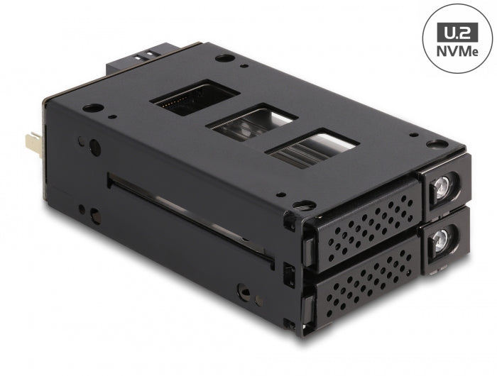 Delock Slim Bay Wechselrahmen für 2 x 2.5″ U.2 NVMe SSD