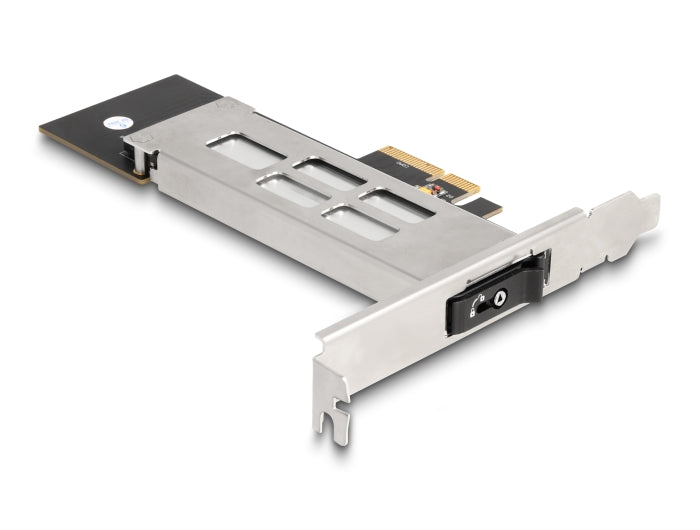 Delock Wechselrahmen PCI Express Karte für 1 x M.2 NVMe SSD - Low Profile Formfaktor