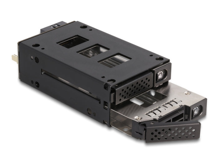Delock Slim Bay Wechselrahmen für 2 x 2.5″ U.2 NVMe SSD