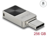Delock Mini USB 5 Gbps USB-C™ Speicherstick 256 GB - Metallgehäuse