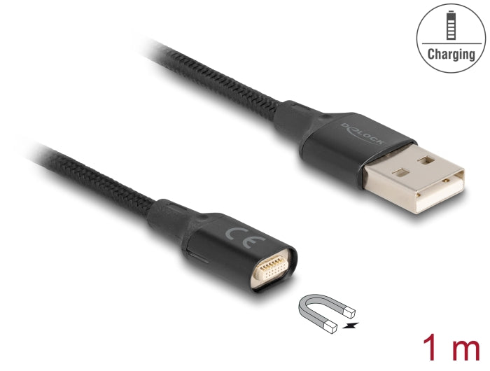 Delock Magnetisches USB-Ladekabel schwarz 1 m