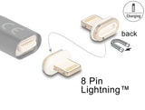 Delock Magnetischer Adapter 8 Pin Lightning™ Stecker