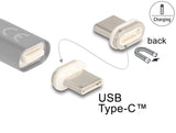 Delock Magnetischer Adapter USB Type-C™ Stecker