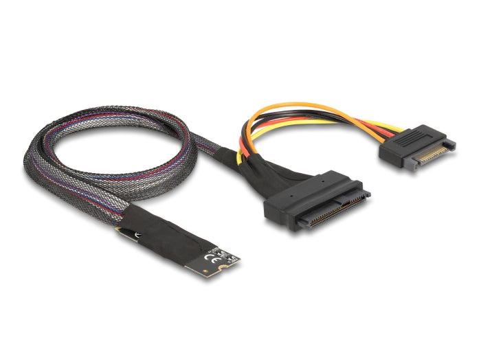 Delock M.2 Key M zu U.2 SFF-8639 NVMe Adapter mit 50 cm Kabel
