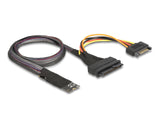 Delock M.2 Key M zu U.2 SFF-8639 NVMe Adapter mit 50 cm Kabel