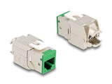 Delock Keystone Modul RJ45 Buchse zu LSA Cat.6A werkzeugfrei grün Set 10 Stück