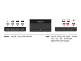 Delock USB 5 Gbps Switch 4 x Gerät und 2 x Host