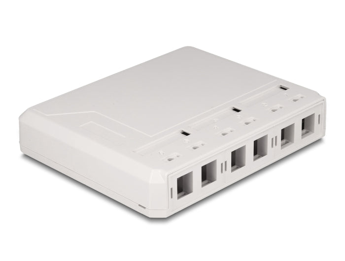 Delock Keystone Leergehäuse 6 Port für Glasfaser und Netzwerk weiß