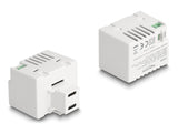Delock Keystone Modul mit 2 x USB Type-C™ Ladebuchsen PD 20 W weiß