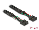 Delock Kabel USB 2.0 Pfostenbuchse 2,54 mm 10 Pin zu USB 2.0 Pfostenbuchse 2,54 mm 10 Pin 25 cm