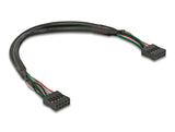 Delock Kabel USB 2.0 Pfostenbuchse 2,54 mm 10 Pin zu USB 2.0 Pfostenbuchse 2,54 mm 10 Pin 25 cm