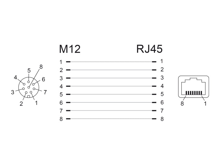 Delock Netzwerkadapter M12 A-kodiert 8 Pin Buchse zu RJ45 Buchse
