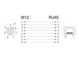 Delock Netzwerkadapter M12 A-kodiert 8 Pin Buchse zu RJ45 Buchse