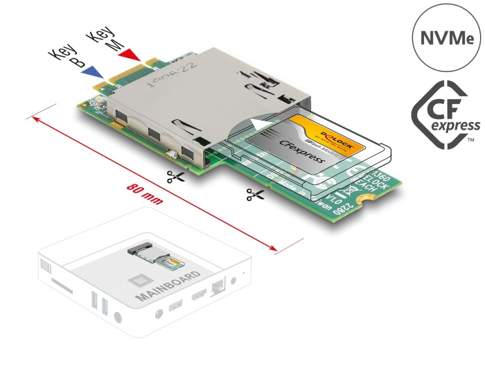 Delock Adapter M.2 Key B+M Stecker zu CFexpress Slot
