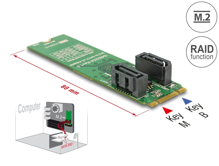 Delock Konverter M.2 Key B+M Stecker > 2 x SATA 7 Pin Stecker mit RAID