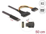 Delock M.2 Key M zu U.2 SFF-8639 NVMe Adapter mit 50 cm Kabel