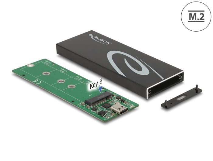 Delock Externes Gehäuse für M.2 SATA SSD mit USB Type-C™ Buchse