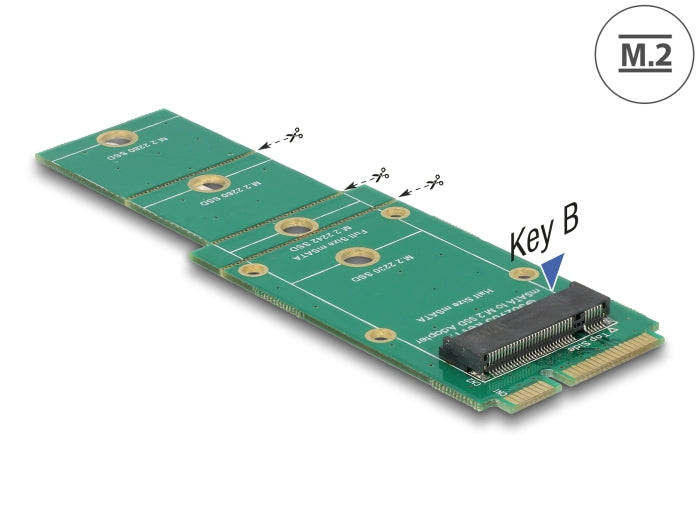 Delock Adapter mSATA > M.2 Key B Slot