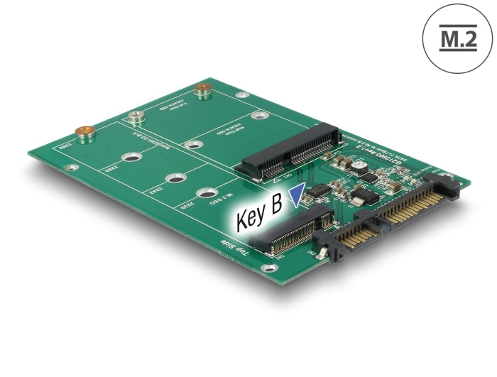 Delock Konverter SATA 22 Pin > 1 x M.2 + 1 x mSATA