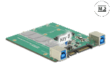 Delock Konverter SATA / USB 3.1 Typ-B Buchse > M.2 / mSATA Slot