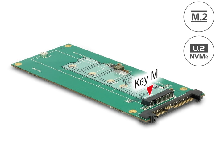 Delock Konverter U.2 SFF-8639 NVMe > 1 x M.2 Key M