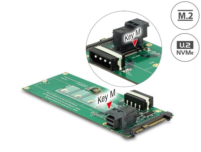 Delock Konverter U.2 SFF-8639 / SFF-8643 NVMe > 1 x M.2 Key M