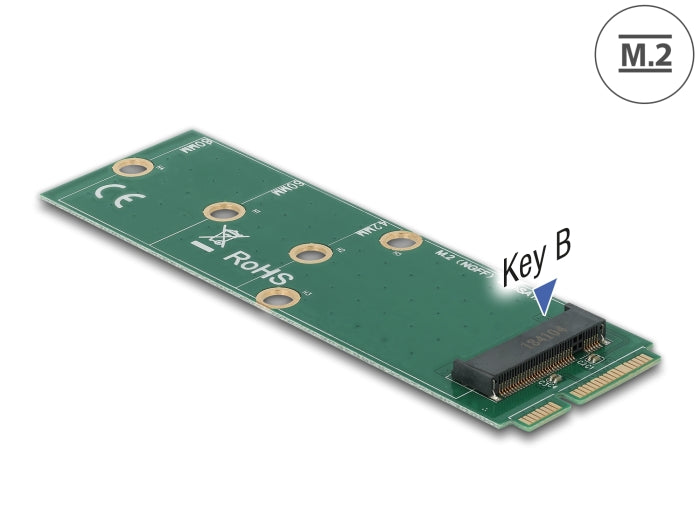 Delock Adapter mSATA zu M.2 Key B Slot
