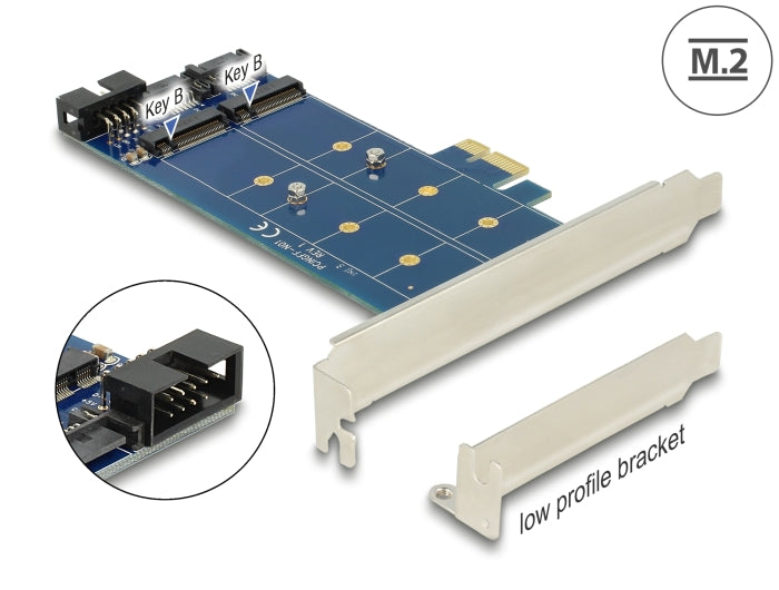 Delock PCI Express x1 Karte > 2 x intern M.2 NGFF
