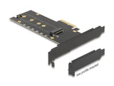 Delock PCI Express x4 Karte zu 1 x intern NVMe M.2 Key M mit Kühlkörper und RGB LED Beleuchtung - Low Profile Formfaktor