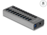 Delock Externer 5 Gbps USB Hub mit 10 Ports + Schalter