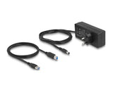 Delock Externer 5 Gbps USB Hub mit 10 Ports + Schalter
