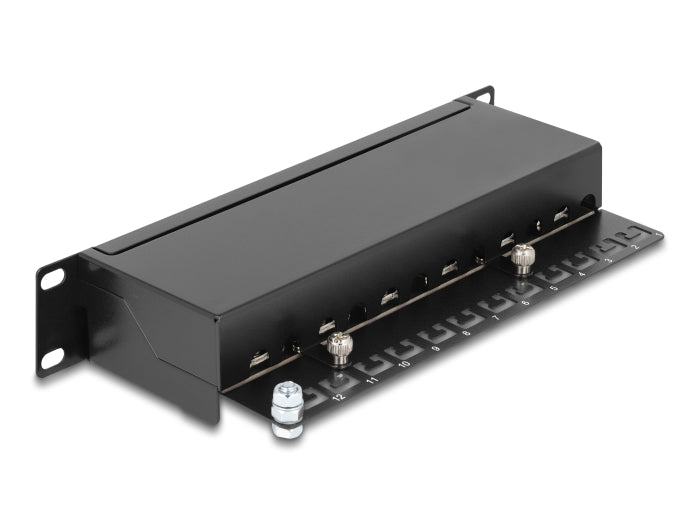 Delock 10″ Patchpanel 12 Port Cat.6 schwarz