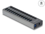 Delock Externer USB 5 Gbps Hub mit 13 Ports + Schalter