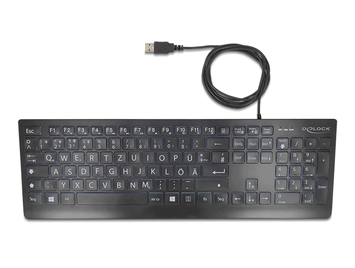 Delock USB Tastatur kabelgebunden 1,5 m schwarz mit XXL Buchstaben und Beleuchtung