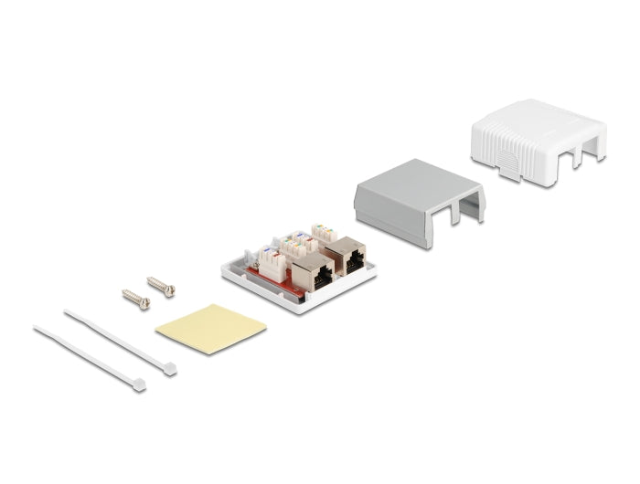 Delock Netzwerk Anschlussdose 2 Port Cat.6A LSA