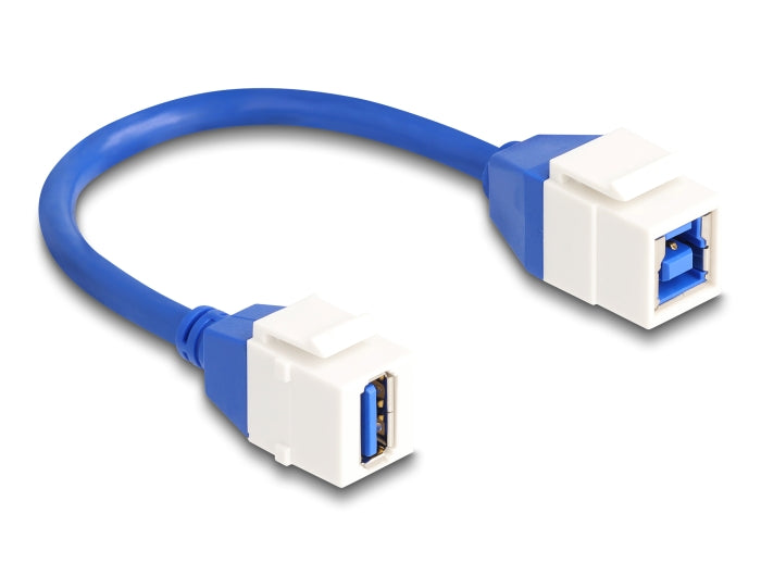 Delock Keystone Modul Kabel USB 5 Gbps Typ-A Buchse zu USB Typ-B Buchse 20 cm blau