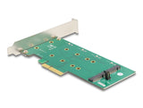 Delock PCI Express x4 Karte > 2 x intern M.2 Key B mit RAID - Low Profile Form Faktor