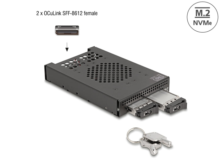 Delock 3.5″ Wechselrahmen für 2 x M.2 NVMe SSD mit OcuLink SFF-8612 Anschluss