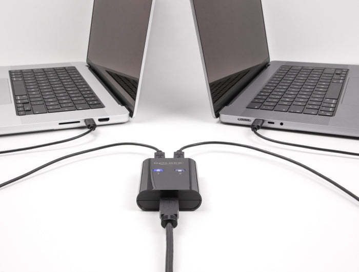 Delock USB 5 Gbps Switch für 2 PC an 1 Gerät