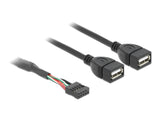 Delock USB Kabel Pin Header Buchse > 2 x USB 2.0 Typ-A Buchse 40 cm