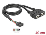 Delock USB Kabel Pin Header Buchse > 2 x USB 2.0 Typ-A Buchse 40 cm
