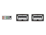 Delock USB Kabel Pin Header Buchse > 2 x USB 2.0 Typ-A Buchse 40 cm