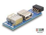 Delock USB Pin Header Buchse > 2 x USB 2.0 Buchse – rechts / links