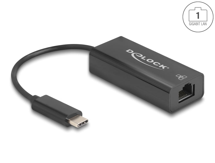 Delock USB 2.0 Type-C™ Netzwerk Adapter 10/100 Mbps LAN 1 x RJ45