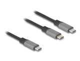 Delock USB-C™ Y-Kabel 1 x Stecker zu 2 x Stecker PD 3.0 100 W Intelligente Stromaufteilung 1,2 m