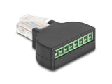 Delock RJ45 Stecker zu Terminalblock mit Schraubendreher Cat.5e