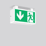 RZB LED-Sicherheitsleuchte 5,1W 4000K RECHTECK 671069.002.1.07 55lm Deckenanb